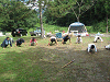 camp22 (246)_samu.gif